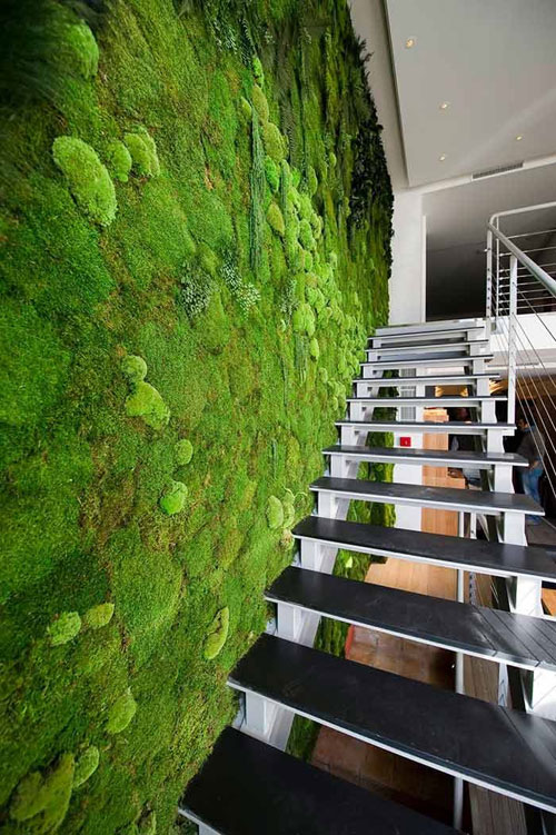 یک طرح، یک نگاه: دیوارهای گیاهی