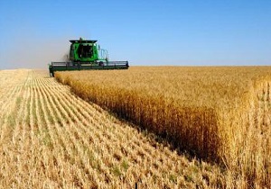 سرمایه گذاری صنایع کوچک تبدیلی در بخش کشاورزی