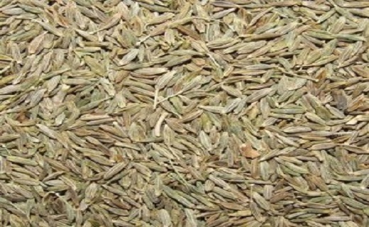 ادویه های رژیمی