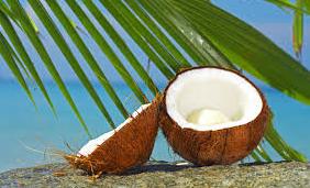خاصیت شیر نارگیل