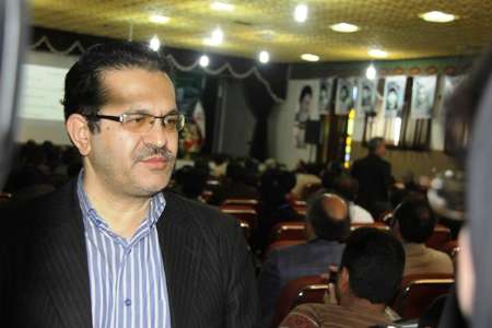 صادرات قارچ 72 درصد افزایش یافت