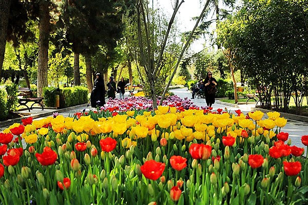 فضای سبز تهران استقبال بهار می رود