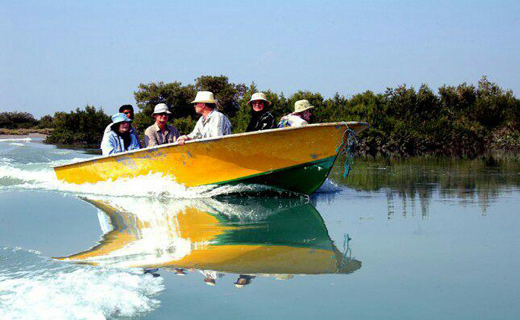 جنگل های مانگرو هرمزگان جاذبه طبیعی گردشگری در آب های خلیج فارس+تصاویر