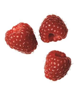 غنی‌ترین منابع آنتی اکسیدانی را بشناسید