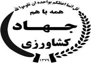 آفتاب سوختگی زمستانه درختان میوه یکی از عارضه‌های معمول و خطرناک باغات است