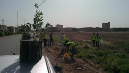 ۷۰۰ نهال توسط شش سازمان مردم‌نهاد کاشته می‌شود