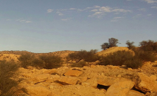 چهره پاییزی بزرگترین جنگل بلوط ایران+تصاویر