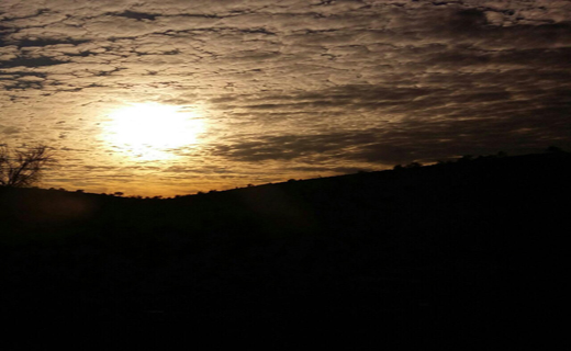 چهره پاییزی بزرگترین جنگل بلوط ایران+تصاویر