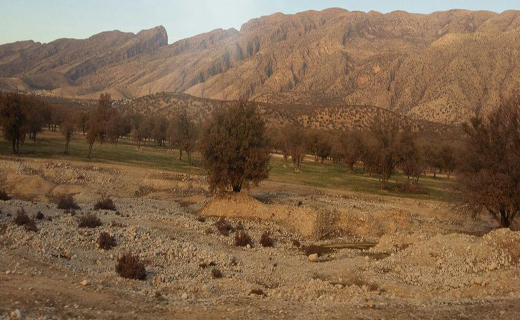 چهره پاییزی بزرگترین جنگل بلوط ایران+تصاویر