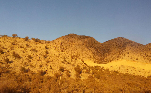 چهره پاییزی بزرگترین جنگل بلوط ایران