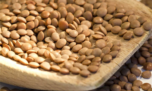 برای افزایش ذخیره آهن خوردن عدسی به همراه جعفری بهتر است یا خوردن جگر؟