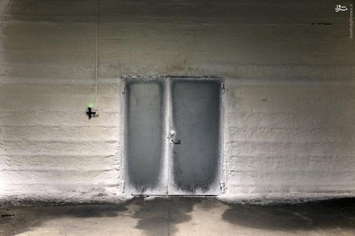 عکس/ بزرگترین بانک بذر جهان در نروژ 