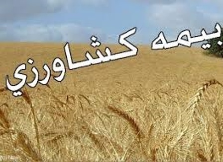 کشاورزان قزوینی نسبت به بیمه محصولات خود اقدام کنند