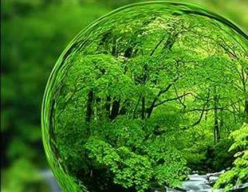 تاثیر مخرب رژیم‌های غذایی گیاهی بر محیط زیست