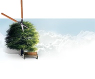 فصل پیرایش درختان