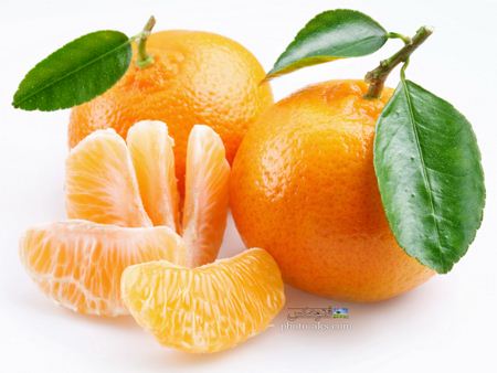 آغاز نخستین جشنواره مرکبات در مازندران