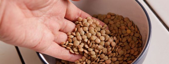 عدس، منبع پروتئين و آنتي اکسيدان ها