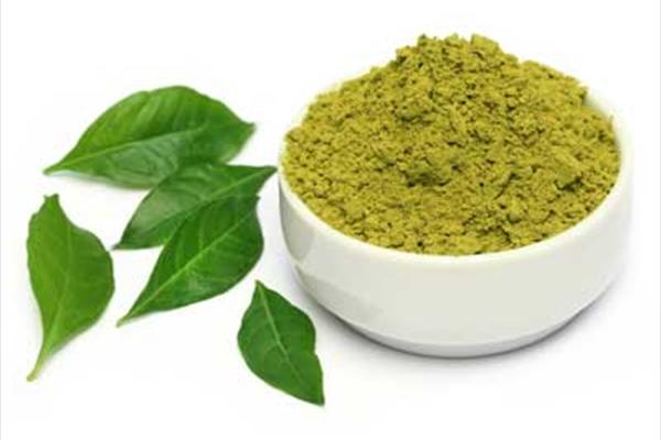 خاصیت های مهم حنا برای مو