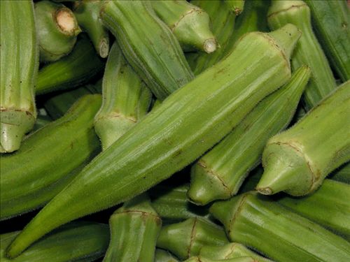 خواص بی نظیر بامیه