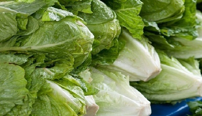 ۱۰خاصیت شگفت انگیر کاهو