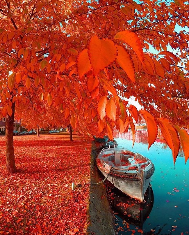 تصاویری شگفت انگیز از دنیای زیبا (10)