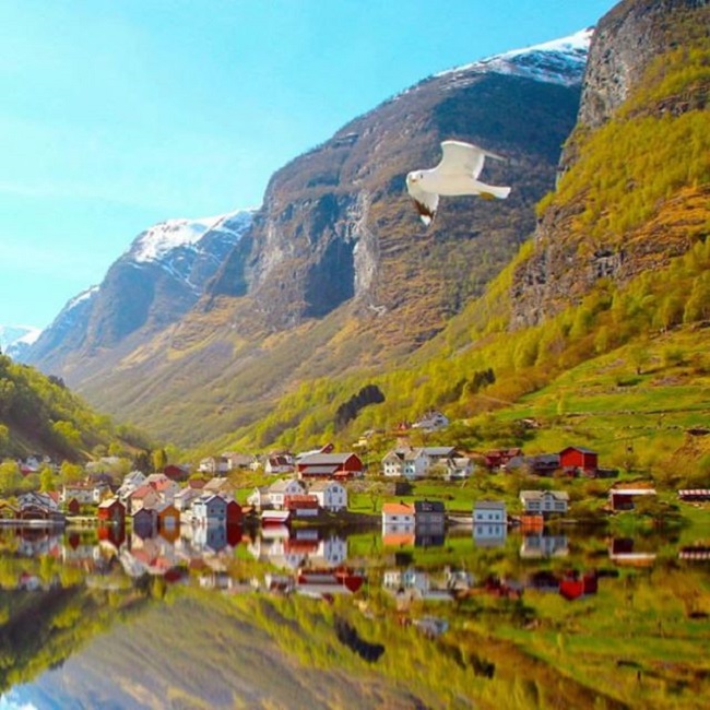 تصاویری شگفت انگیز از دنیای زیبا (10)