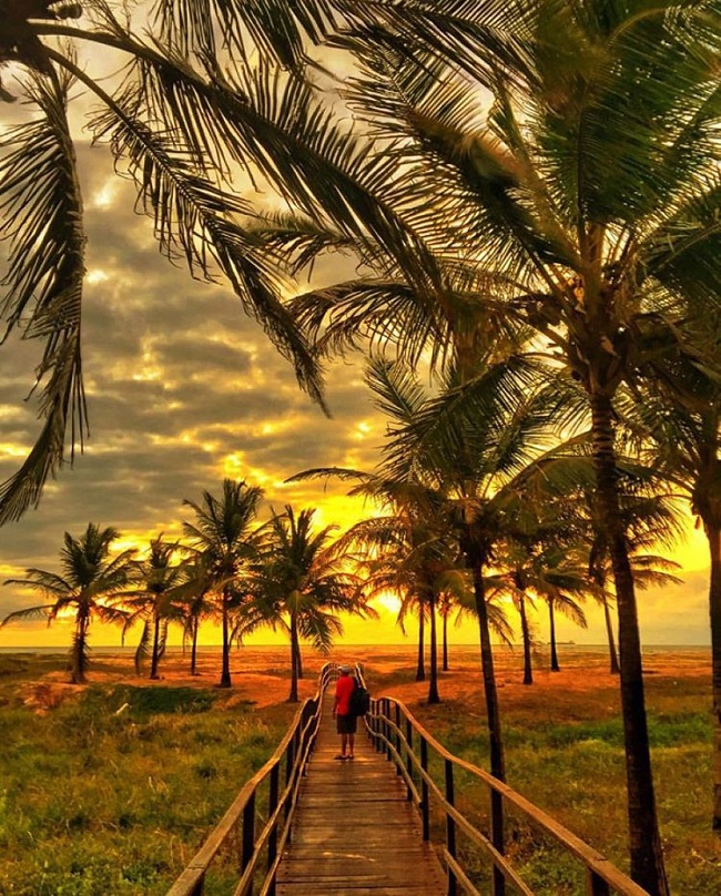 تصاویری شگفت انگیز از دنیای زیبا (10)