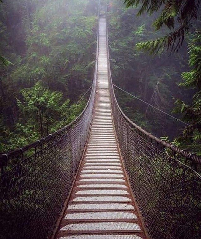 تصاویری شگفت انگیز از دنیای زیبا (10)