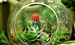 هشتمین نمایشگاه تخصصی گل و گیاه و ادوات باغبانی در بیرجند گشایش یافت