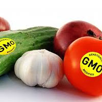 درباره تراریخته‌ها اطلاع‌رسانی درستی انجام نشده است 