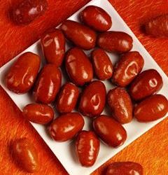 خواص فراوان سنجد