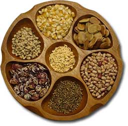 واردات بی رویه بذر باعث ایجاد مشکلات برای تولید کنندگان گل و گیاه محلات شده است