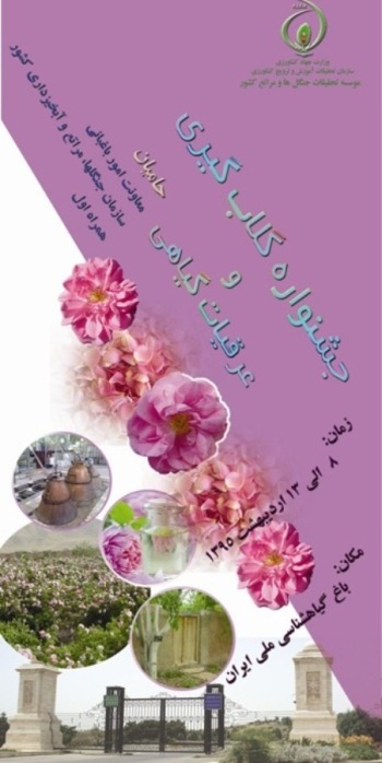 برگزاری نخستین جشنواره گلابگیری در تهران
