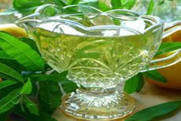 کاهش سریع دمای بدن با این گیاه