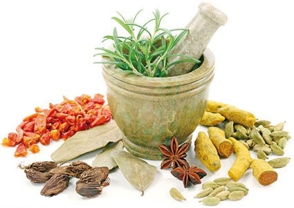 تاثیرمصرف خودسرانه گیاهان دارویی