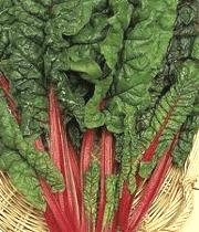 11 منبع گیاهی غنی از کلسیم را بشناسید