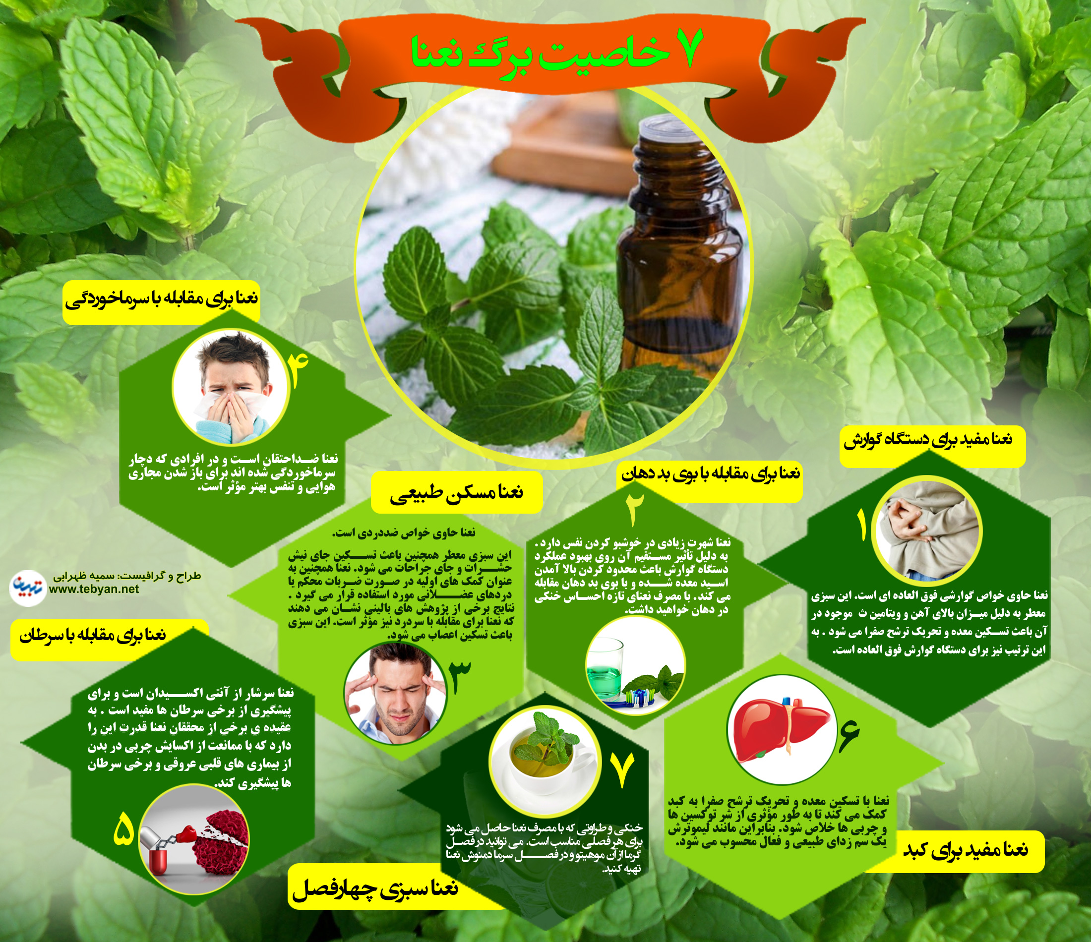اینفوگرافی خواص برگ نعنا