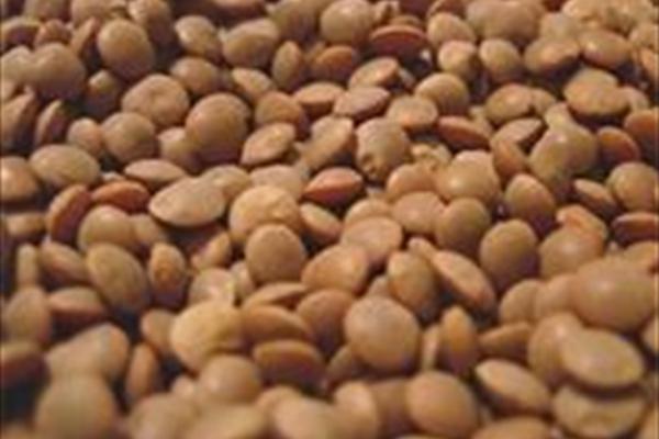 گیاهان جادویی غنی از کلسیم