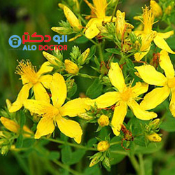 درمان سریع افسردگی با یک نوع علف!