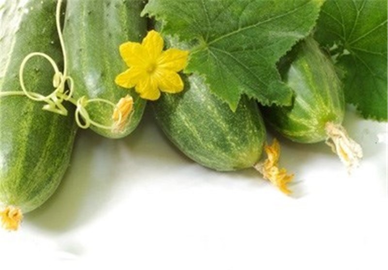 آیا خیار به کاهش وزنمان کمک می کند؟