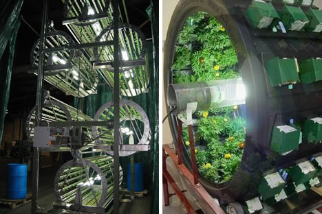 طراحی باغچه چرخشی برای زنده نگه داشتن گیاهان