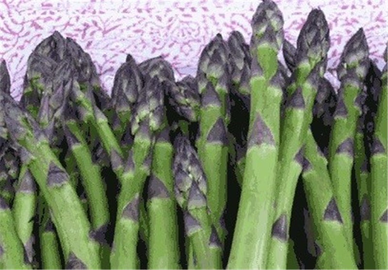 خواص گیاه مارچوبه