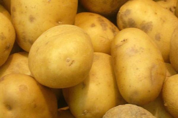 خوردن سیب زمینی موجب این بیماری می شود