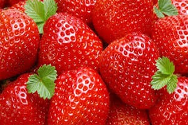 علت تازگی و شفافیت توت فرنگی
