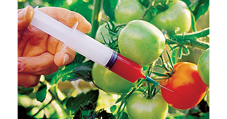  تولید محصولات تراریخته تعلیق شود