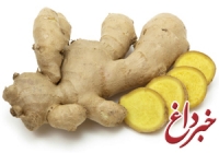 چربی های بدنتان را با این گیاه آب کنید