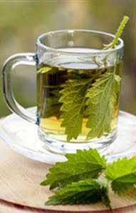 گزنه و فواید بی نظیرش
