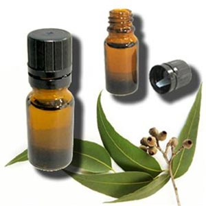 خواص دارویی بی نظیر روغن اکالیپتوس