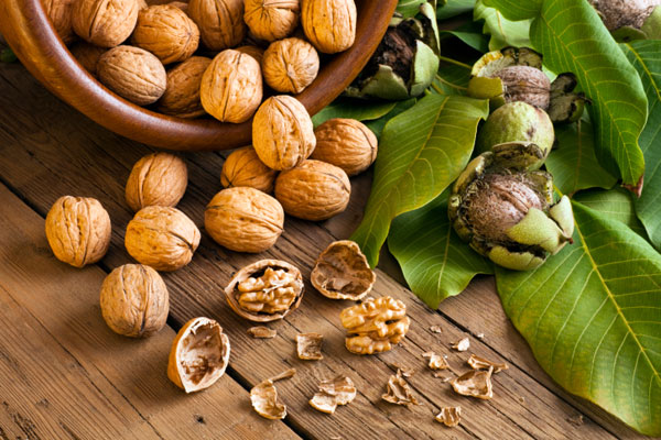 با خواص شگفت‌انگیز گردو آشنا شوید