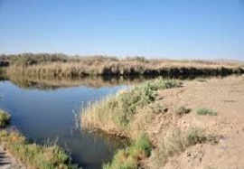 افزایش حجم آب در تالاب گاوخونی